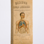 Album "Budowa ciała ludzkiego w 5 ruchomych plastycznych obrazach przedstawiona. Z tekstem objaśniającym przez D-ra L. Wolberga i 20 drzeworytami", Warszawa 1901; papier; druk; MHM WUM/772