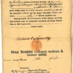 Zaświadczenie Jacoba Ernsta Hildebranda o szkoleniu chirurga w zakresie anatomii lekarskiej, Collegium Medicum & Sanitatis, Wrocław 1798; papier czerpany; druk, pismo odręczne; MHM WUM/742