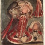 Ilustracja ze zbiorów Wellcome Collection