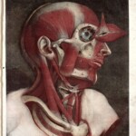 Ilustracja ze zbiorów Wellcome Collection