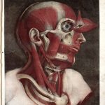 Ilustracja ze zbiorów Wellcome Collection