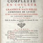 Ilustracja ze zbiorów Wellcome Collection