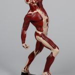 Anatomiczny model męski z układem mięśniowym stojący